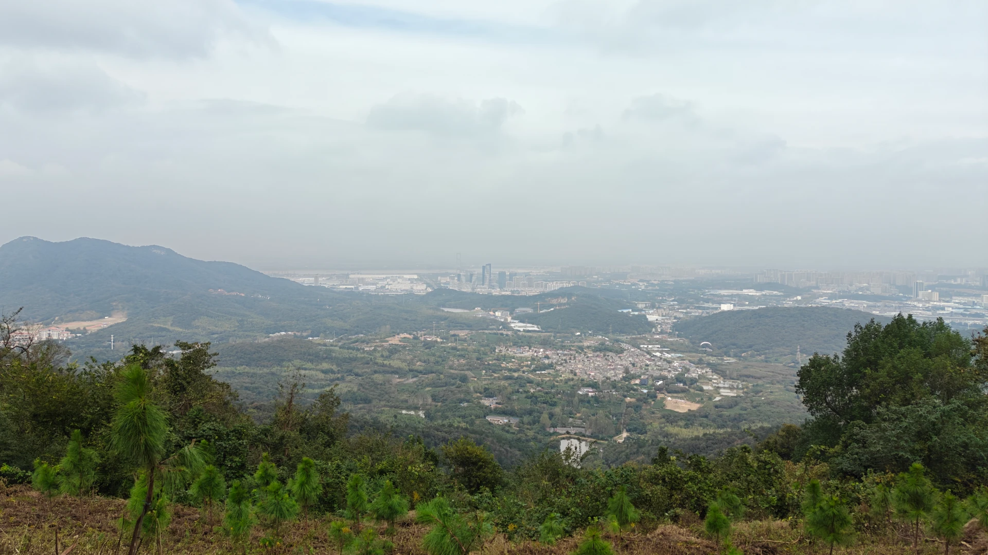 请输入图片描述